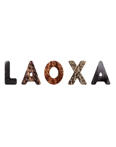 laoxaltd giphyupload GIF