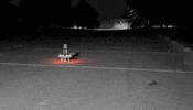 Usa Dope GIF by GyroPalm