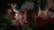 christmas vacation GIF