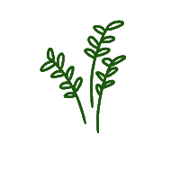 Beauty Flower Sticker