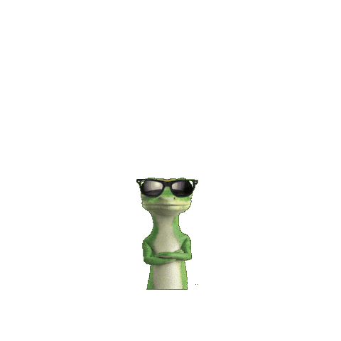 Joe Cool Sunglasses Sticker by GEICO