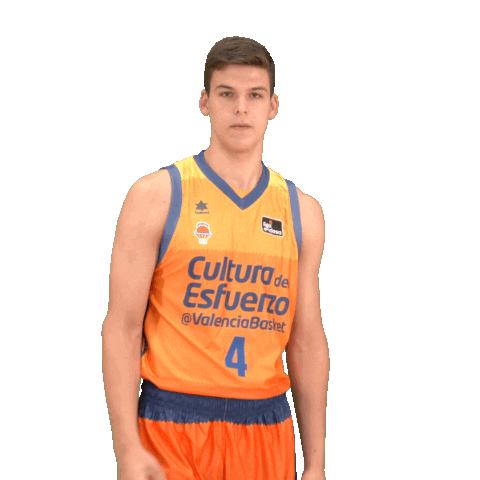 Liga Endesa Sport Sticker by ACB