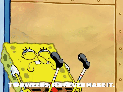 season 5 the two faces of squidward GIF by SpongeBob SquarePants