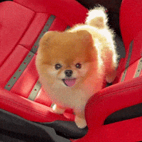 Super Car Ferrari GIF