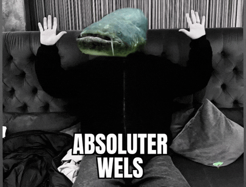 Wels GIF