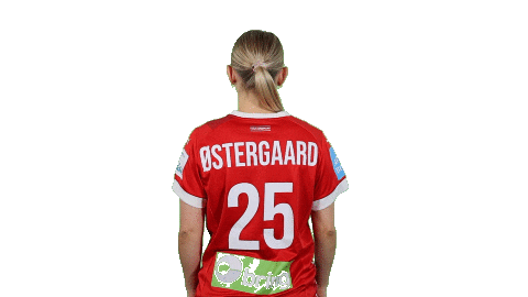 Celebration Handball Sticker by Dansk håndbold