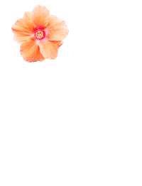 party beach Sticker by Libelle.nl