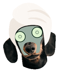 abigailjamesskincare dog beauty skincare facial Sticker