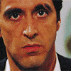 Martin Scorsese Miami GIF