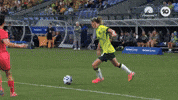 Emily Van Egmond Goal GIF by Football Australia