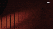 GIF by NRK P3