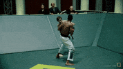 karatecombat sports sport mma punch GIF