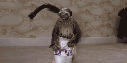 super bowl 2016 GIF by Mountain Dew