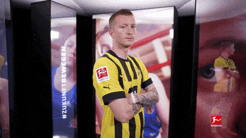 Dortmund Reus GIF by Bundesliga