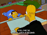 homer simpson GIF