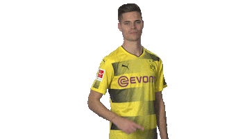 borussia dortmund football Sticker by Bundesliga