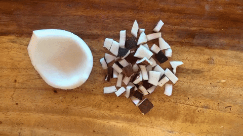 paulocarvalho4761 giphygifmaker coconut coconut oil GIF