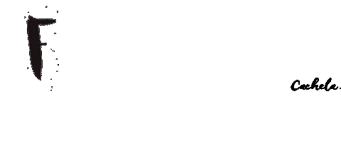 Show Flamenco Sticker by Cachela