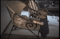 cat slap GIF by AFV Pets