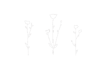 flowers harukakly Sticker