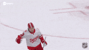 Happy Red Wings GIF by NHL