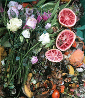 Food Throw Away GIF by Common Ground Compost