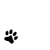 Paws Superfoods Sticker by KUNKAY