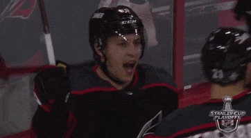 happy ice hockey GIF by NHL