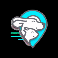 Vacanzeanimali dog animals travel puppy GIF