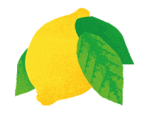 Belvoirfarm_uk lemon lemons belvoir belvoir farm Sticker