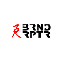 BrandRaptor photography videography brlogo brndrptr Sticker