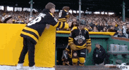 Ice Hockey Sport GIF by NHL
