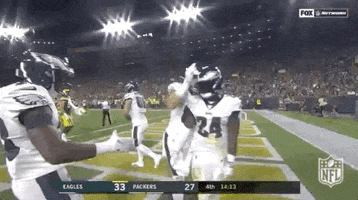 Philadelphia Eagles Football GIF by NFL