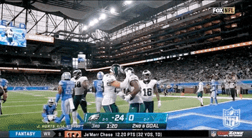 Fly Eagles Fly Football GIF by NFL