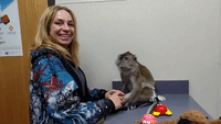 Nervous Pet Monkey Gets Foot Rub Before Vet Visit