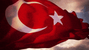 Turkey GIF