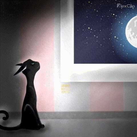 Full Moon Cats GIF