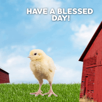 Have A Blessed Day!