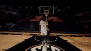 Ncaa Basketball GIF by Mizzou Athletics