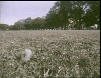 anything could happen GIF by dani