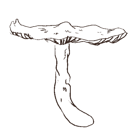 Kaylvalentinee giphyupload mushroom shroom kaylvalentinee Sticker