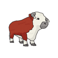 Chesley Sticker by Experience ArranElderslie