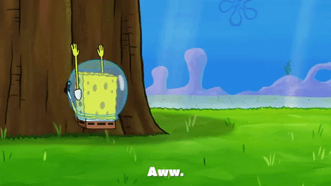 season 9 episode 23 GIF by SpongeBob SquarePants