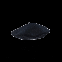 France Hat GIF by afhongkong