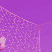 Futbol Celebrar GIF by Volaris