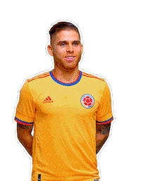 Copa America Football Sticker by Caracol Television