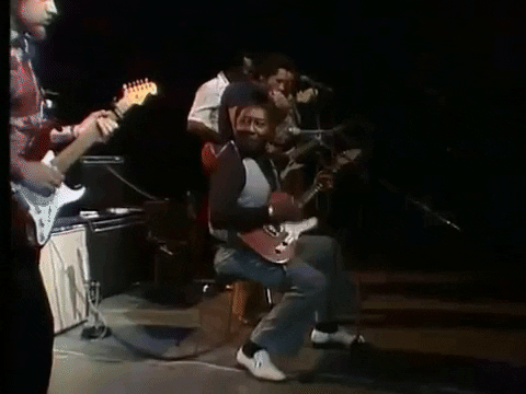 muddywaters giphygifmaker muddy waters muddy waters live evans shuffle GIF