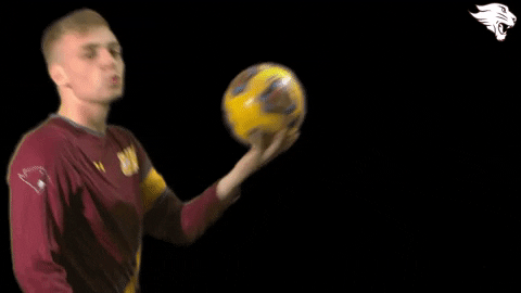 Cuc19 D3Soc GIF by CUCougars