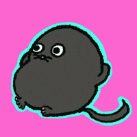 Idc Idk GIF