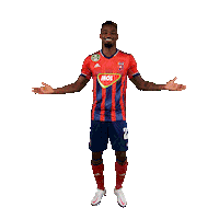 molfehervarfcgif vidi szekesfehervar fehervar molfehervarfc Sticker